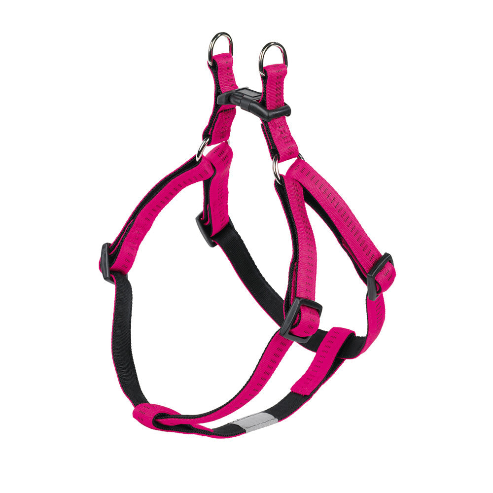 Dog Harnesses & Collars