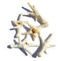Puffed Chicken Feet - Single