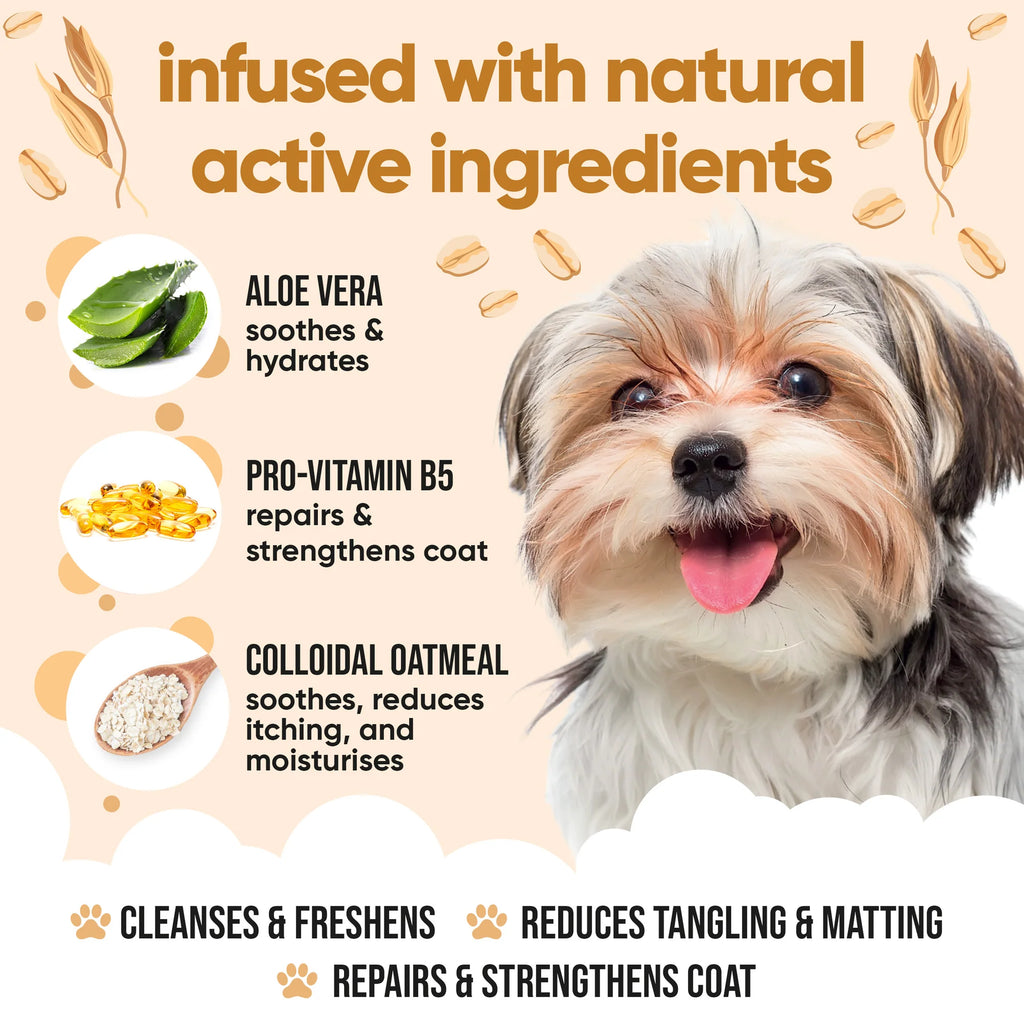 Buddycare Oatmeal Dog Shampoo - 500ml