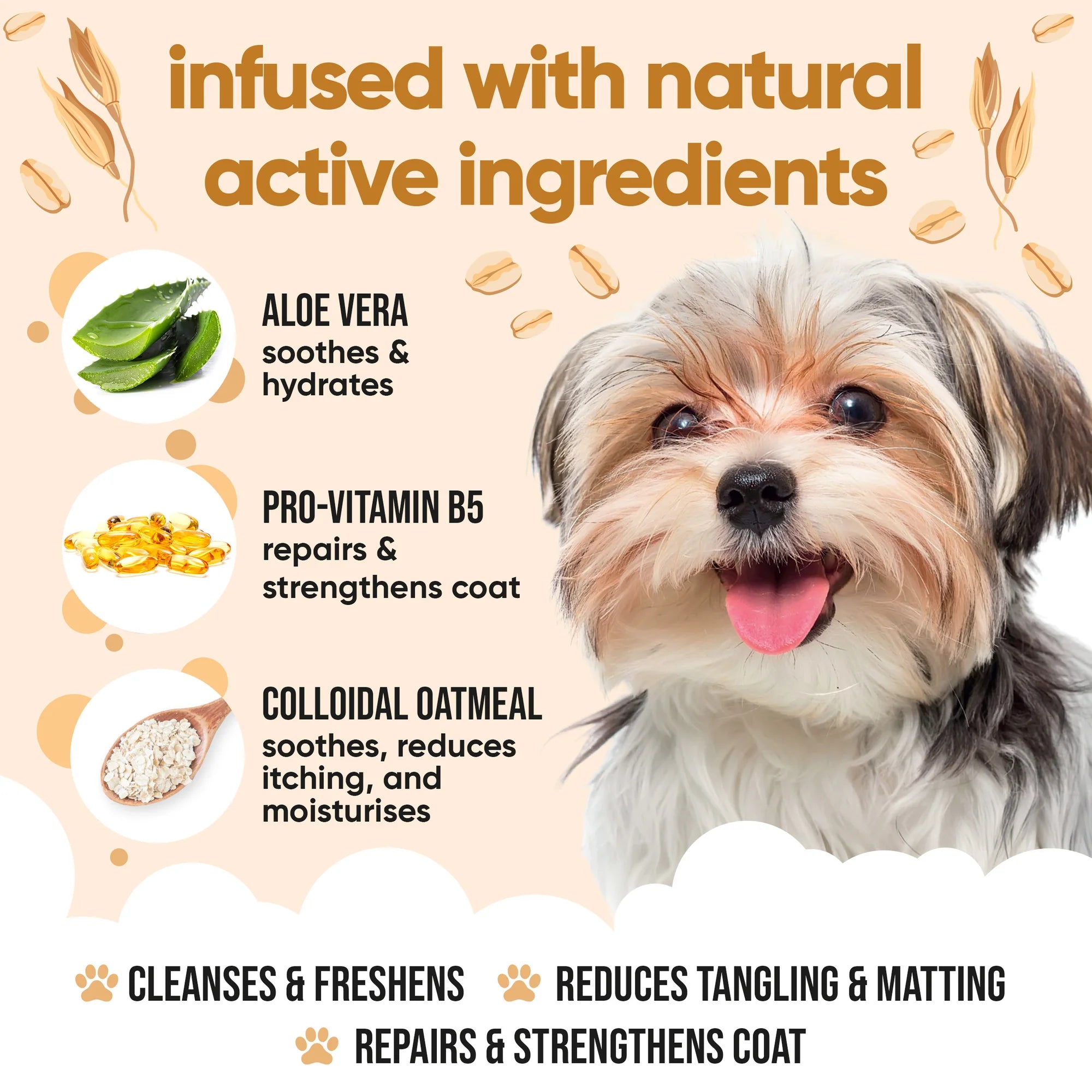 Buddycare Oatmeal Dog Shampoo - 500ml