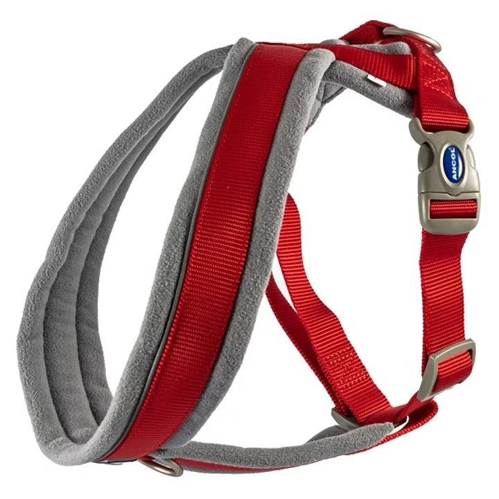 Ancol Viva Padded Nylon Dog Harness
