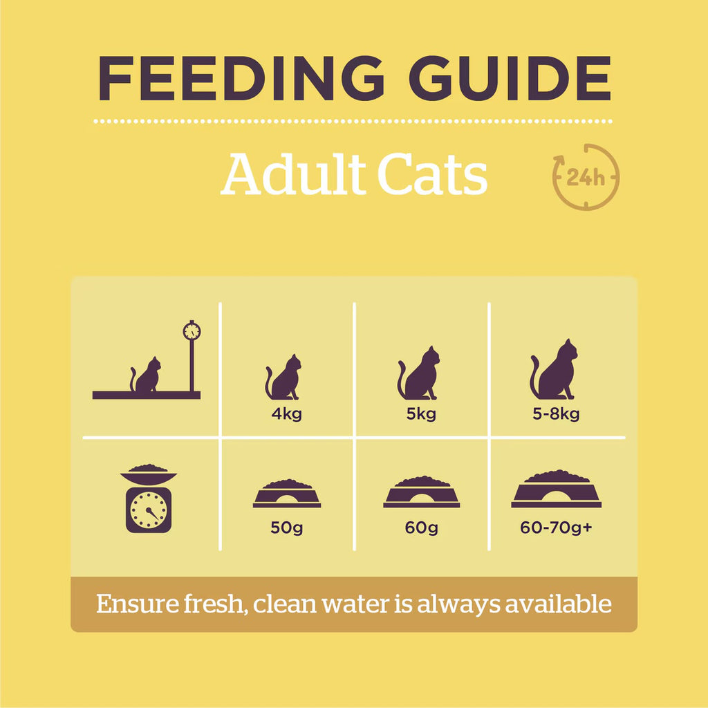 Burgess Cat Adult Chicken & Duck 1.5kg