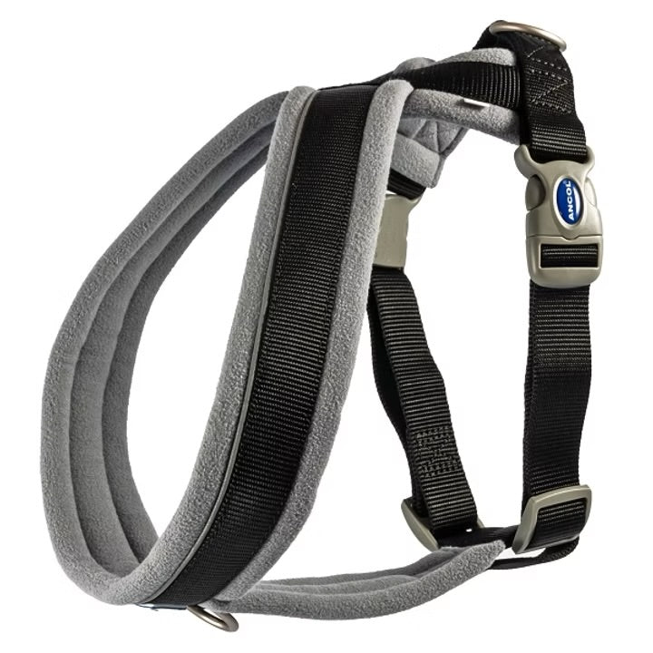 Ancol Viva Padded Nylon Dog Harness