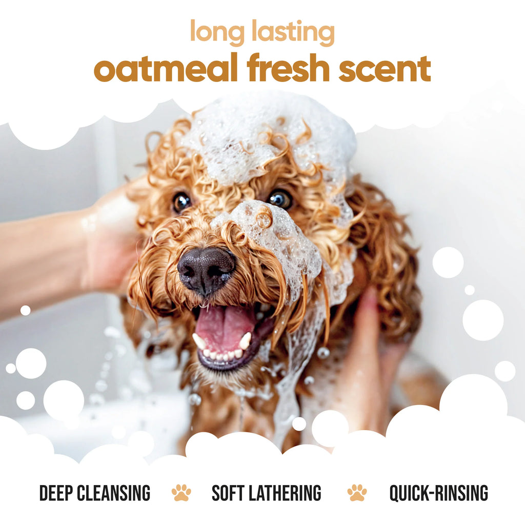 Buddycare Oatmeal Dog Shampoo - 500ml