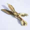 Rabbit Ear - Single