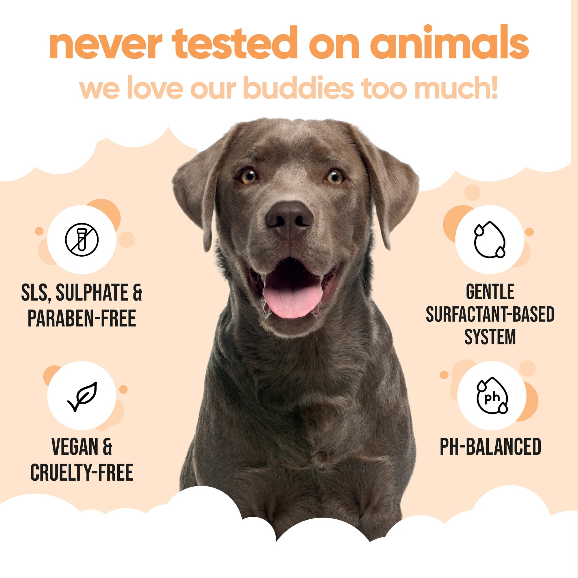 Buddycare Flea & Tick Shampoo - 500ml