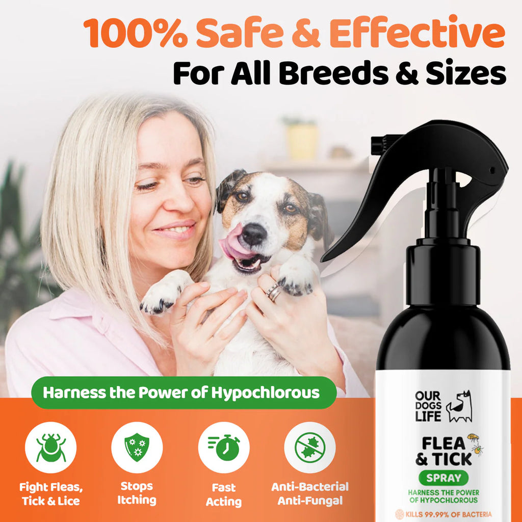 Our Dogs Life Hypochlorous Flea & Tick Spray - 250ml