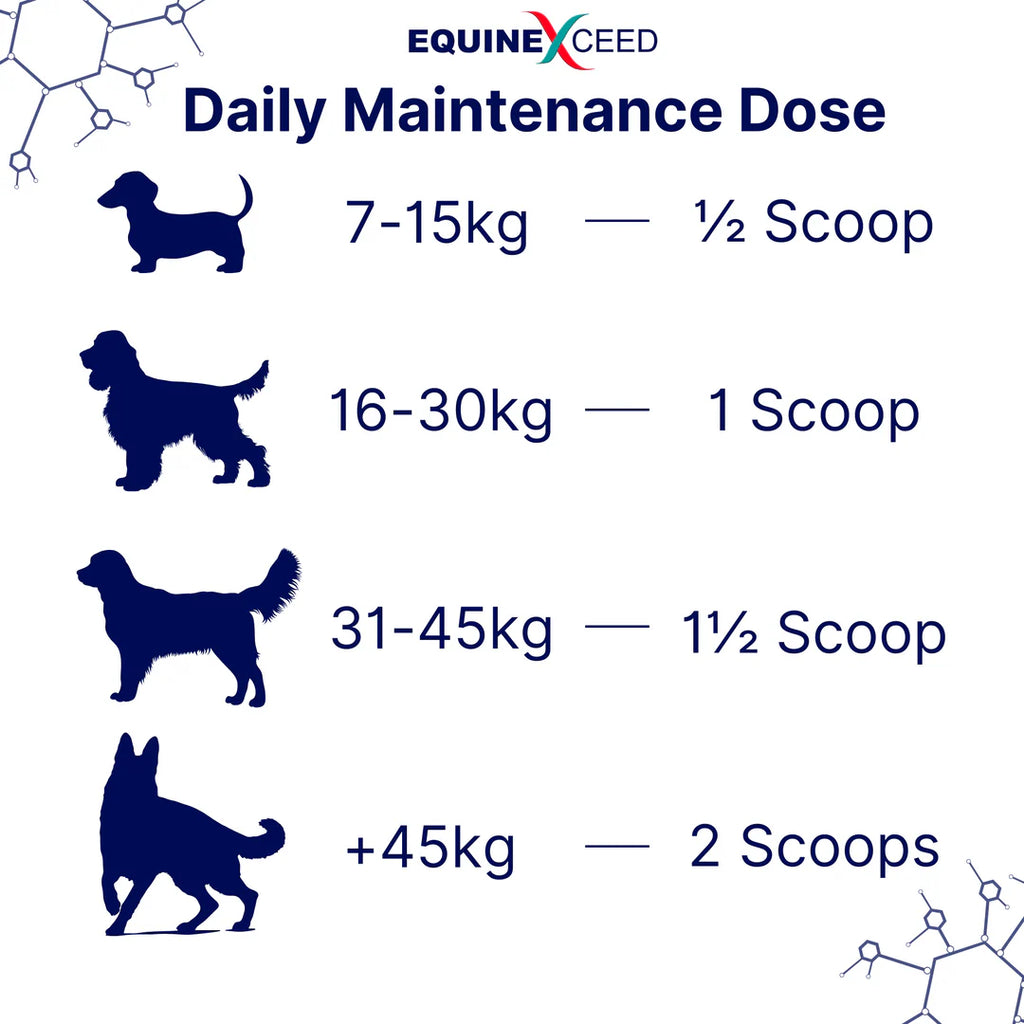 K9 Joint Health Powder 144g