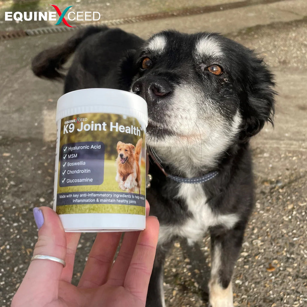 K9 Joint Health Powder 144g
